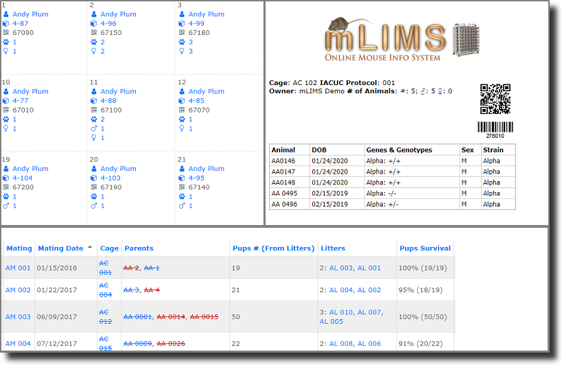 mLIMS Mouse colony software cage management