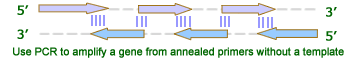 BxSeqTools Ultimate Molecular Cloning Guides - Gene Synthesis Cloning